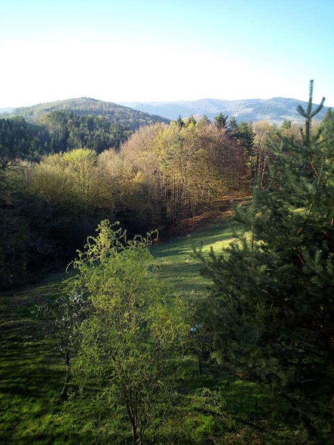 Agroturystyka Millerowka Kamionka Mala  Exterior foto