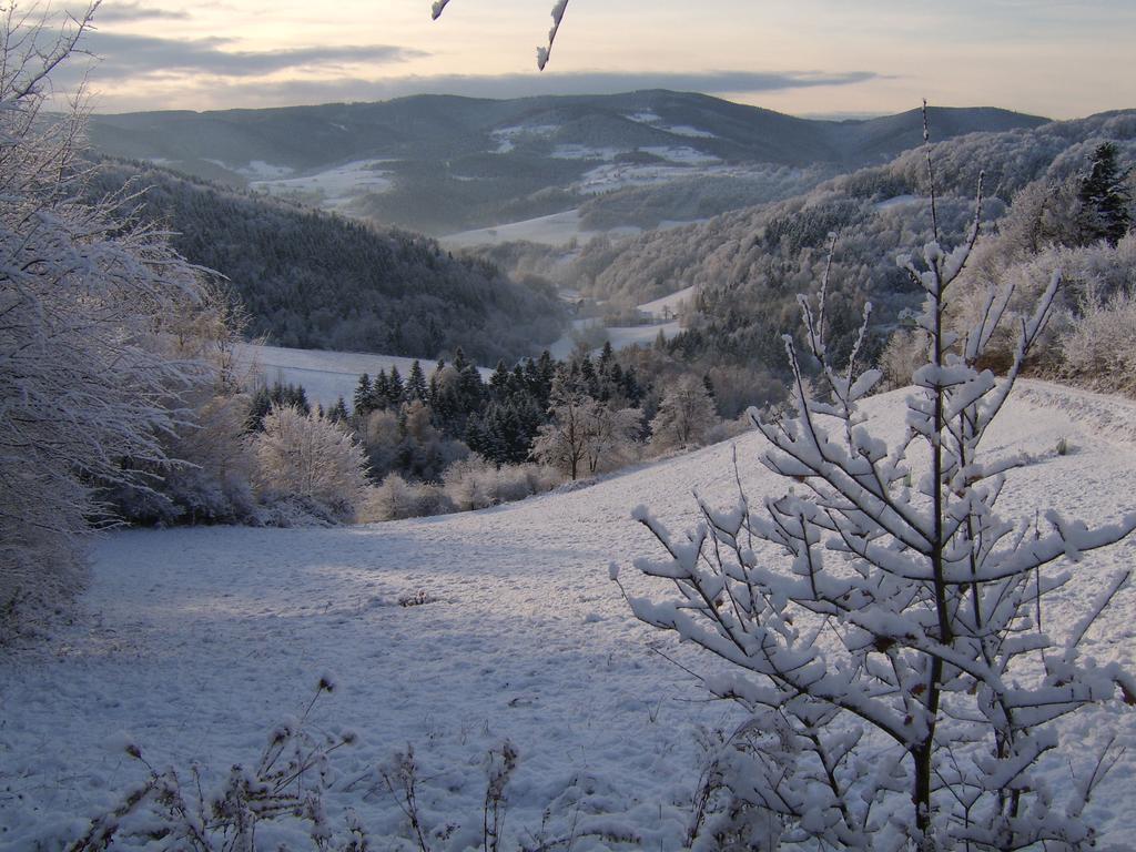 Agroturystyka Millerowka Kamionka Mala  Exterior foto