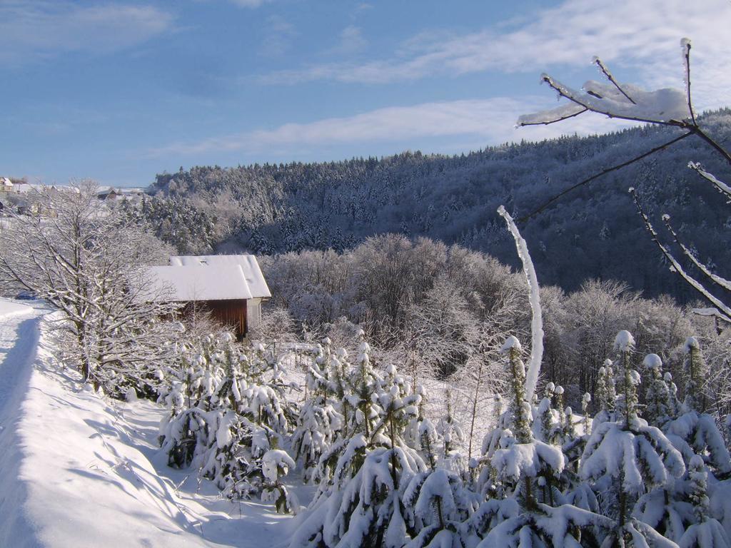 Agroturystyka Millerowka Kamionka Mala  Exterior foto