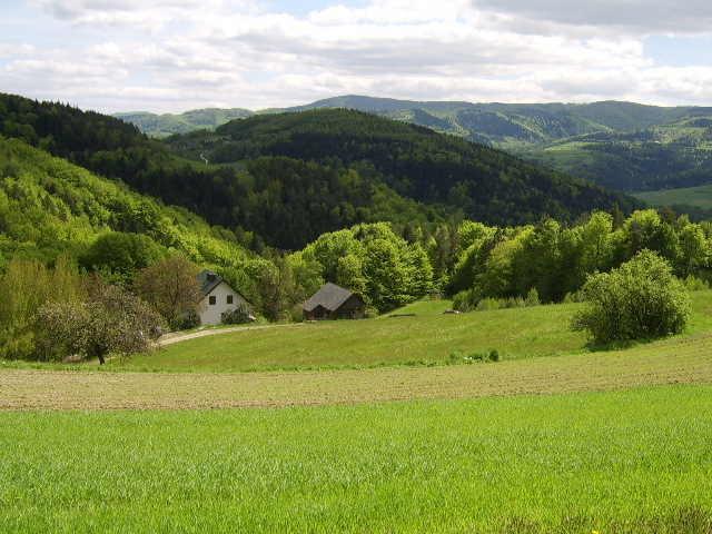 Agroturystyka Millerowka Kamionka Mala  Exterior foto