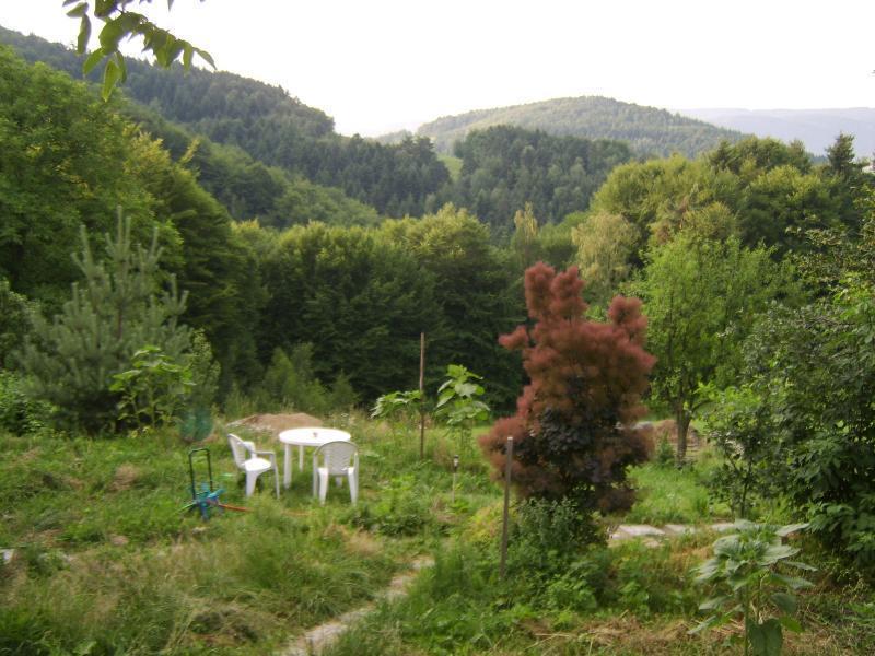 Agroturystyka Millerowka Kamionka Mala  Exterior foto